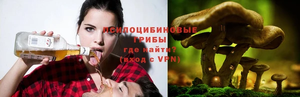 ALPHA-PVP Арсеньев