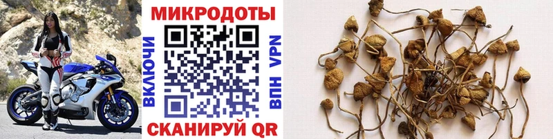 Галлюциногенные грибы MAGIC MUSHROOMS  площадка состав  Снежногорск  закладки 